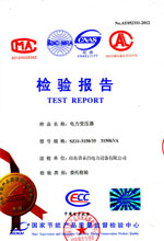 乐山电力变压器检测报告