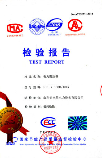 乐山电力变压器检测合格报告